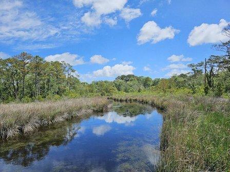 Currituck Banks Reserve