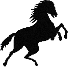 The Black Stallion