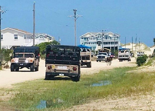 Back Beach Wild Horse Tours