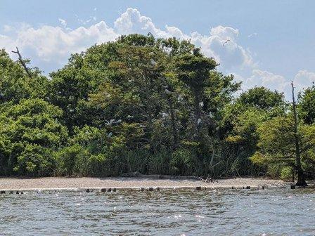 Monkey Island