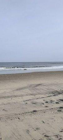 OBX Fit