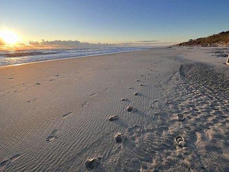 Coral Beach Access