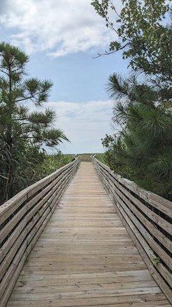 Currituck Banks Maritime Forest Trail Head