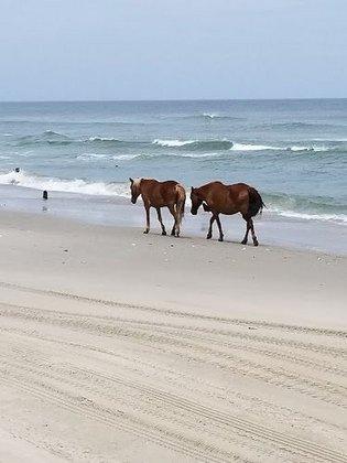Outer Banks Photography, Inc.
