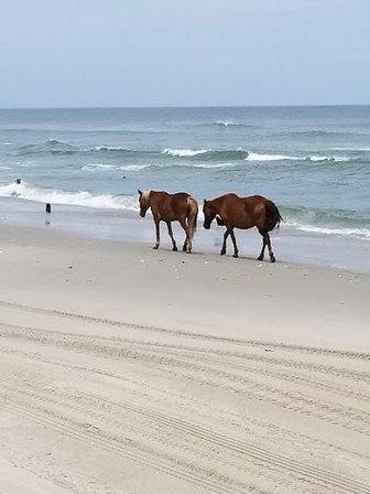 Outer Banks Photography, Inc.