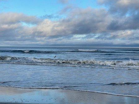 Starstruck OBX