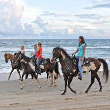 Equine Adventures