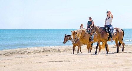 Equine Adventures