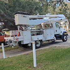 Hatteras Island Tree Care