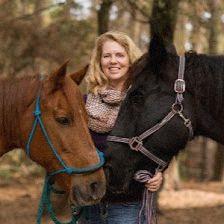 Hatteras Island Horseback Riding