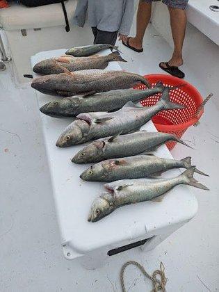Black Pearl Fishing Charters