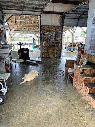 Avon Seafood in Hatteras