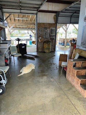 Avon Seafood in Hatteras