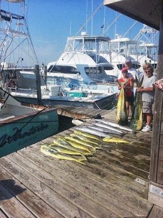 Whatever Sport Fishing