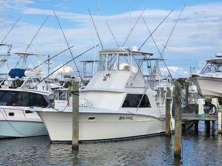 REEL ANGEL SPORTFISHING