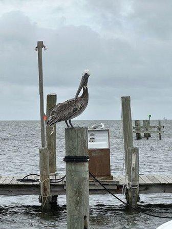 Oden’s Dock