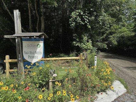 Nags Head Woods Preserve
