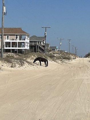 Outer Banks Jeep Rentals