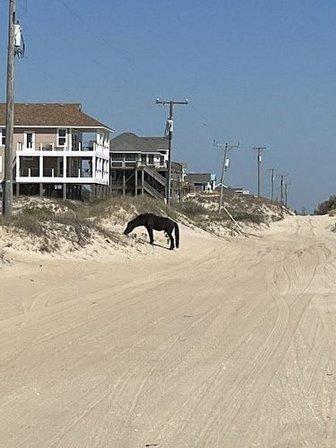Outer Banks Jeep Rentals