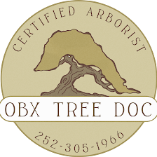OBX Tree Doc