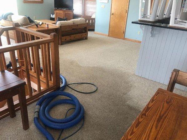 Barefoot Floor & Fabric Care