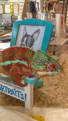 Pet Gallery