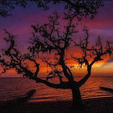 John Lack Photography