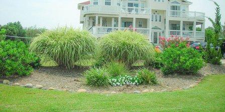 OBX Yard Makeover