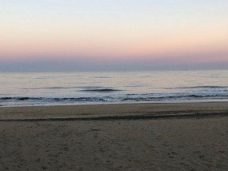 Coastal NC Realty
