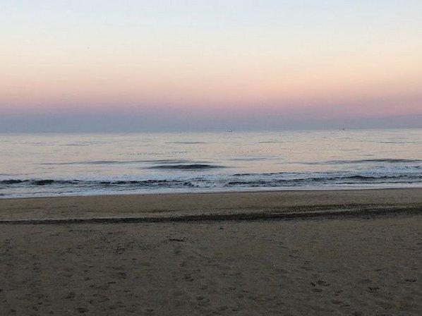 Coastal NC Realty