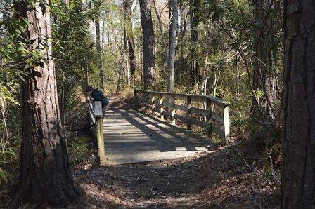 Kitty Hawk Woods Coastal Reserve Dedicated Nature Preserve