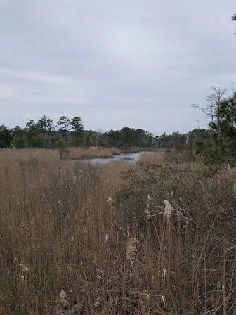 Sandy Run Park