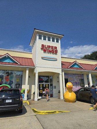Super Wings Duck