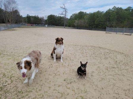 Kitty Hawk Dog Park
