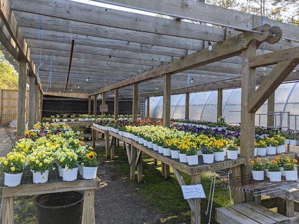 Kitty Hawk Garden Center