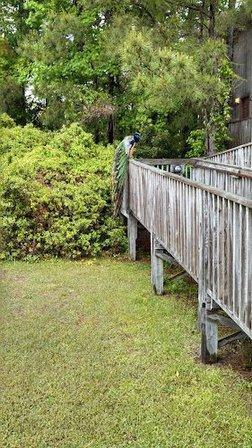 Adventure Bound Campground & Hostel