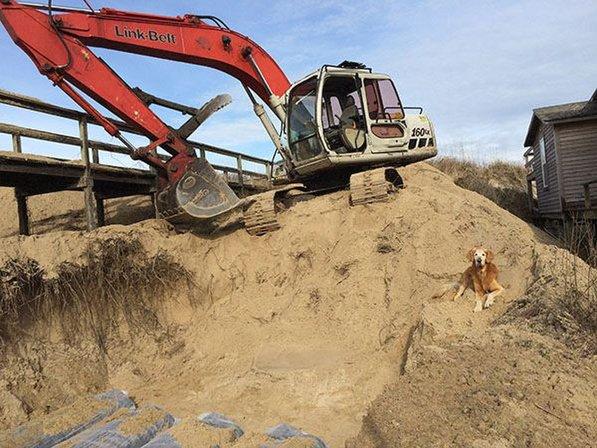 LEE Septic & Land - Outer Banks Septic Service