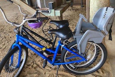 Duck Cycle