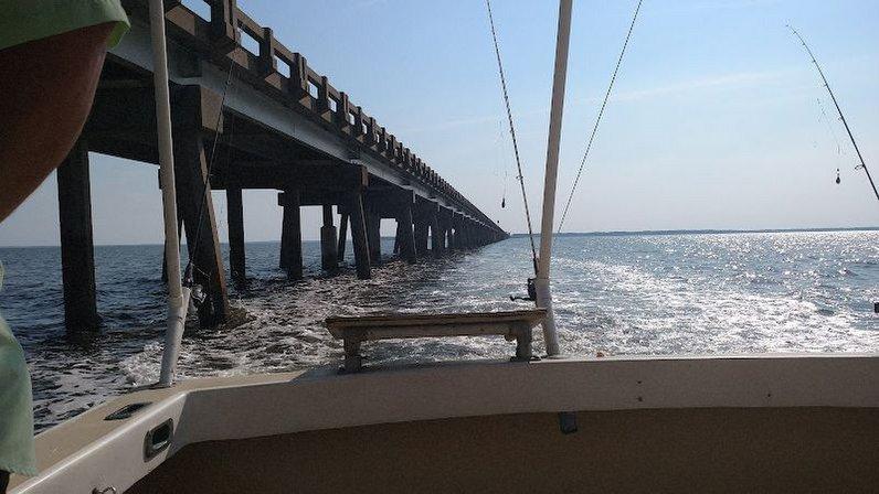 Jawfly Charters