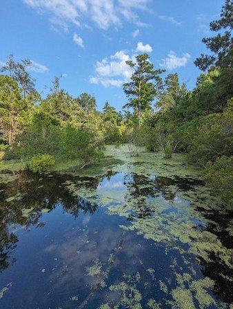 Kitty Hawk Reserve