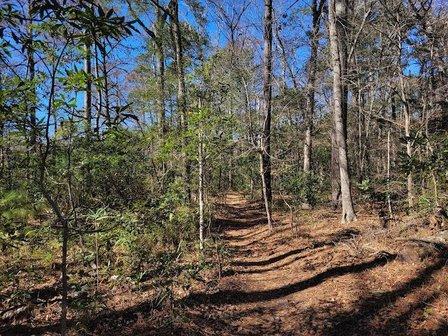 Kitty Hawk Woods access at Kitty Hawk Park