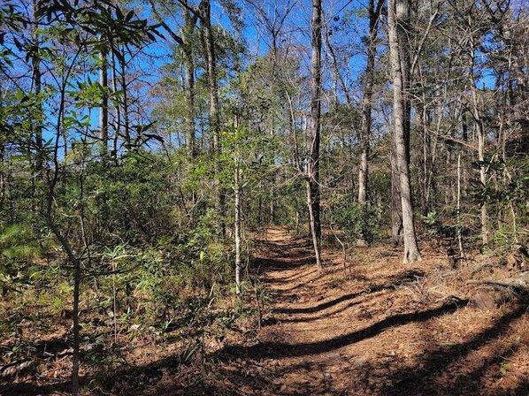 Kitty Hawk Woods access at Kitty Hawk Park