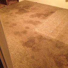 Atlantic Carpet Cleaning