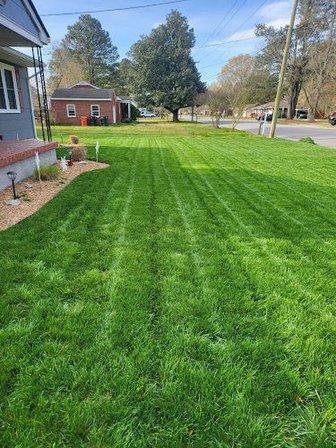 Coastal Landscaping & Lawn Care