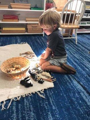 Heron Pond Montessori School