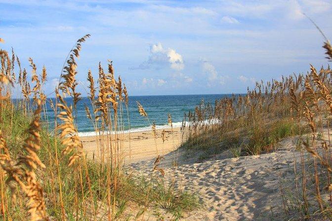 Coastal Living Realty