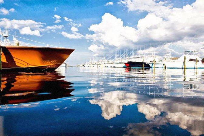 Pirate's Cove Marina