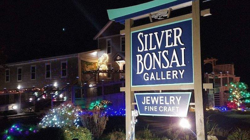 Silver Bonsai Gallery