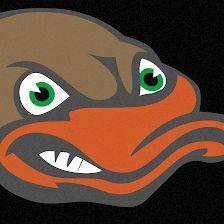 DUCK "N" SONS