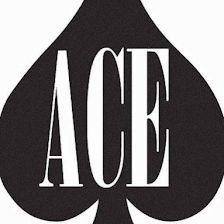 Ace Mini Storage OBX